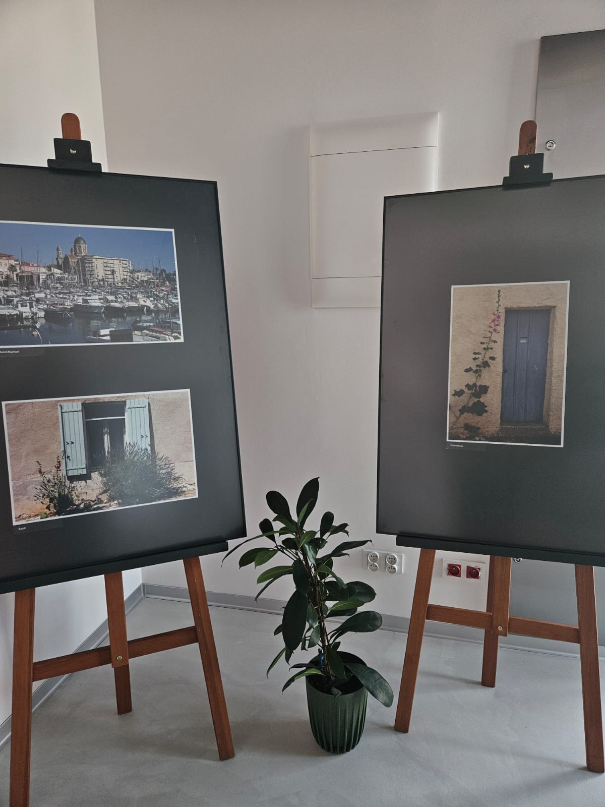 dwie sztalugi na białym tle, na jednej fotografie przedstawiające miasta, a na drugiej fioletowe drzwi i kwiat